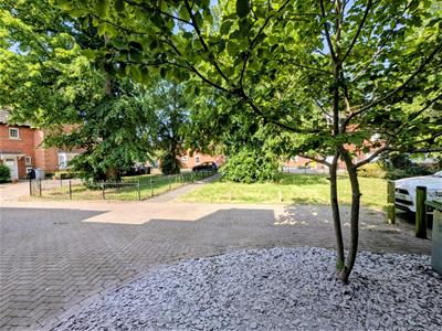 Picture 17